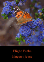 Flight Paths